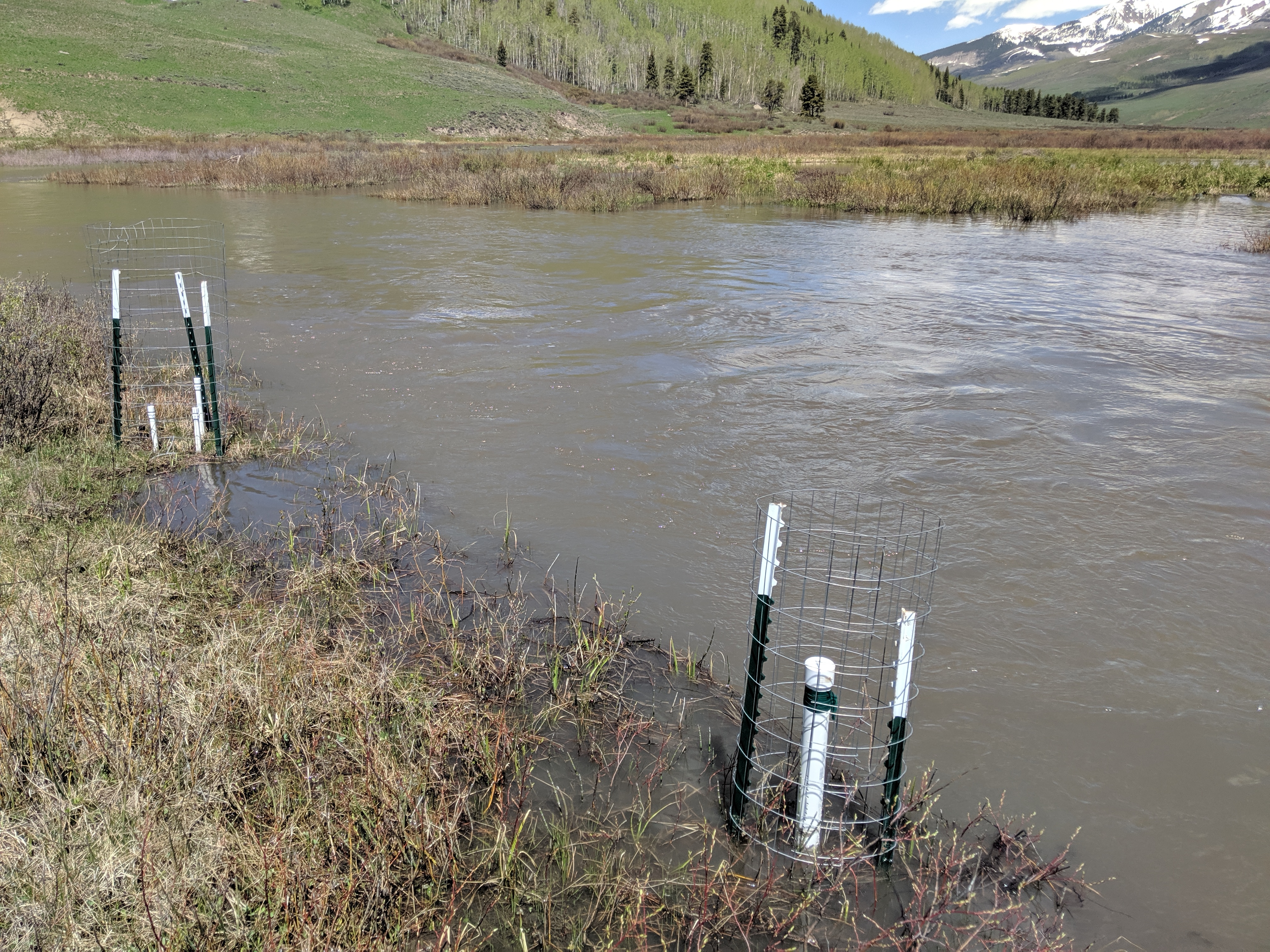 Piezometer installation along riverbank for groundwater monitoring in riparian zone